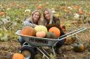 Sisters Leanne and Sammy Harrold (L-R) at their pumpkin patch at Church Farm in Heacham