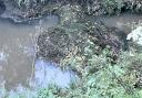 Heavy rain has built up along the Marley Gap Brook after a downpour led to flash floods in the early hours of Wednesday (October 20).