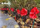 Cadets transform recycled plastic bottles into poppies