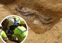 Archaeologists excavate the Offord Cluny burial.