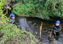 Gravel bottom of a sidestream is being prepared for cleaning by flow deflectors to encourage spawning.