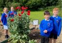 Middlefield Primary pupils Ava, Amelia, Jack and Harrison with the poppies.
