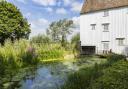 Peter Hagger took this image at Anglesey Abbey.