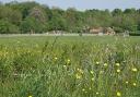 Huntingdonshire District Council has applied for a premises licence for Hinchingbrooke Country Park.