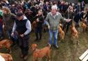 The Fox Red Labrador meet-up at The Farmer's Dog on September 28.