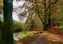 Gerry Brown took this beautiful autumnal image at Hinchingbrooke Park in Huntingdon.