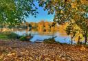 Gerry Brown took this beautiful Autumnal image at the Somersham Nature Reserve.