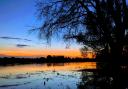 Anna-Marie Gauge took this stunning shot at Fen Drayton Lakes.