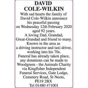 DAVID COLE-WILKIN