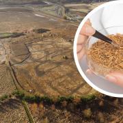 An aerial view of the site where over 8,000 frog bones (inset) were unearthed in Bar Hill.