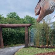 Hamerton Zoo Park is opening a newly extended road train featuring several new dinosaurs.