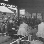 Many people in St Neots would have bought their turkeys from Ekins in New Street.