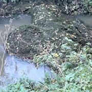 Heavy rain has built up along the Marley Gap Brook after a downpour led to flash floods in the early hours of Wednesday (October 20).