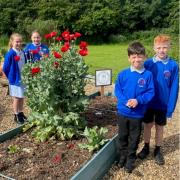 Middlefield Primary pupils Ava, Amelia, Jack and Harrison with the poppies.