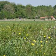 Huntingdonshire District Council has applied for a premises licence for Hinchingbrooke Country Park.