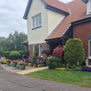 Christine Scrivener's winning garden.