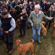 The Fox Red Labrador meet-up at The Farmer's Dog on September 28.