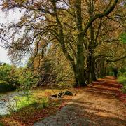 Gerry Brown took this beautiful autumnal image at Hinchingbrooke Park in Huntingdon.