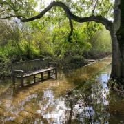 The island is inaccessible during flood.