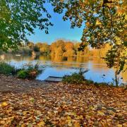 Gerry Brown took this beautiful Autumnal image at the Somersham Nature Reserve.