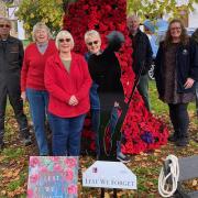 Ellington WI make poppy display for village green