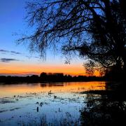 Anna-Marie Gauge took this stunning shot at Fen Drayton Lakes.