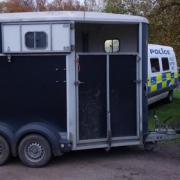 A stolen horse box was found within an hour in Brington, Huntingdonshire.