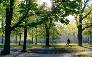 How many Parkruns have you tried in Cambridgeshire?