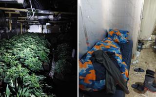 The living conditions and cannabis plants at the property in Warboys High Street.