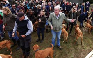 The Fox Red Labrador meet-up at The Farmer's Dog on September 28.